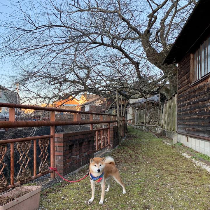 4498ad5c 0a30 46c9 883e ad83389ace22 1576052718960