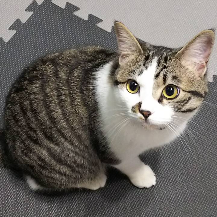 4498ad65 3710 421a a170 6f234c3f9cbd 1620859390135