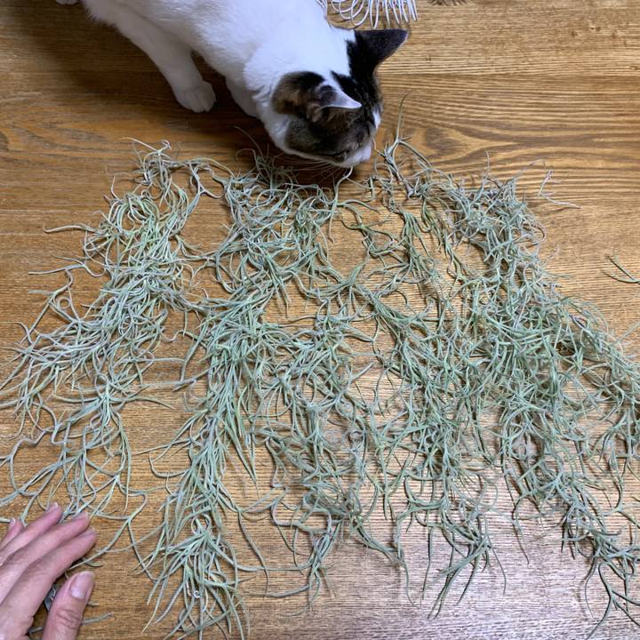 4498ba79 eb0c 4c73 bcd4 d5b57e079729 1651674258752