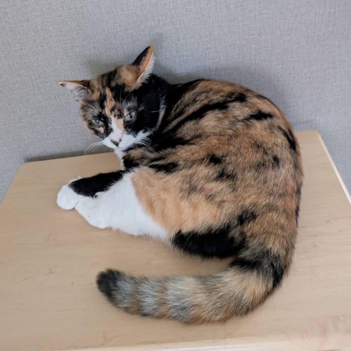 4498dbce 597a 4463 b484 cc5f14cbcc45 1757058089149