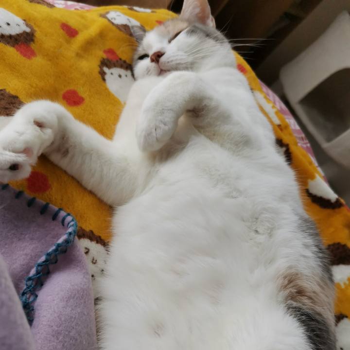 4499125f 8705 4061 a08a 85394ae17402 1672200776497