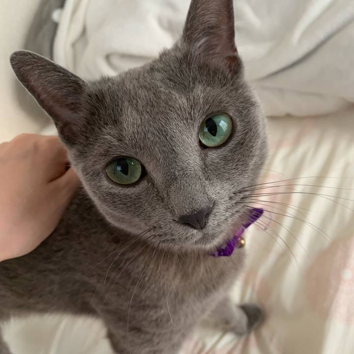 44991954 1441 4613 a2bc 19bf94751fbb 1658961198086