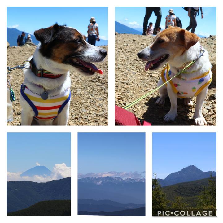 44995217 4290 439f 92e2 a1368ed0dfa7 1597475970588