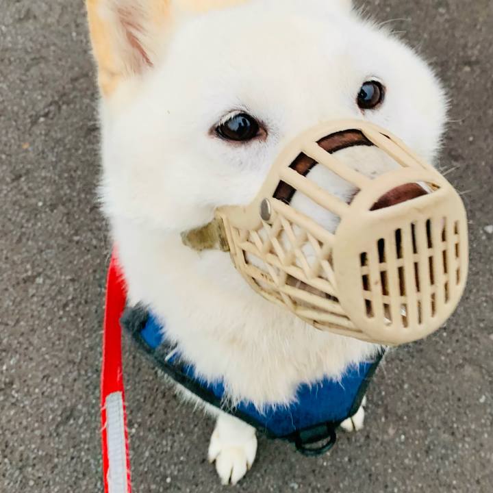 449965c2 30a2 419c b689 d462286728d6 1624220312119