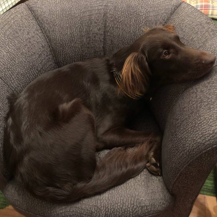 44997055 3047 4dd1 8f63 bd58b140abfd 1579258124434