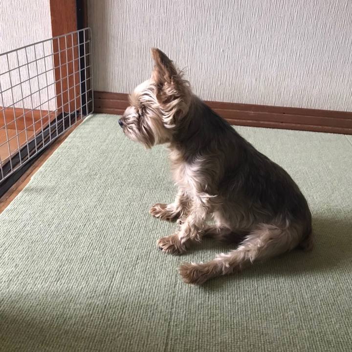 44997310 e7eb 44ae 9600 c38032a43735 1596189943670