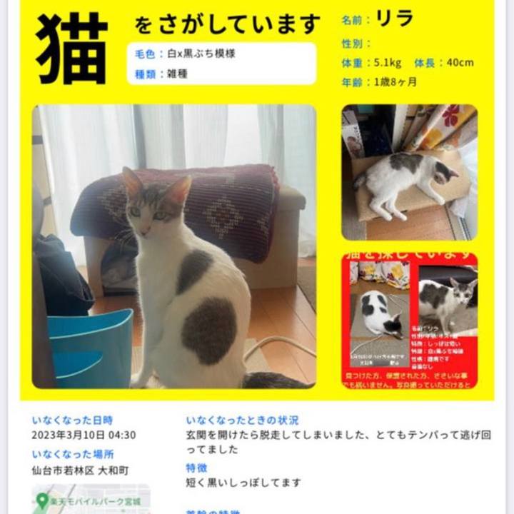 44998a32 6213 4929 b995 eb2cd4d4fc84 1682240245879