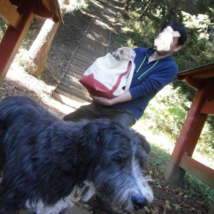 4499c62c 142c 432f b0d8 f0152cdc9b14 1540209417272