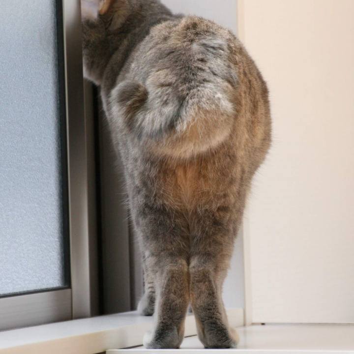 449a022d cbbf 415f 8c9b 6b96dd09dd23 1539834157357