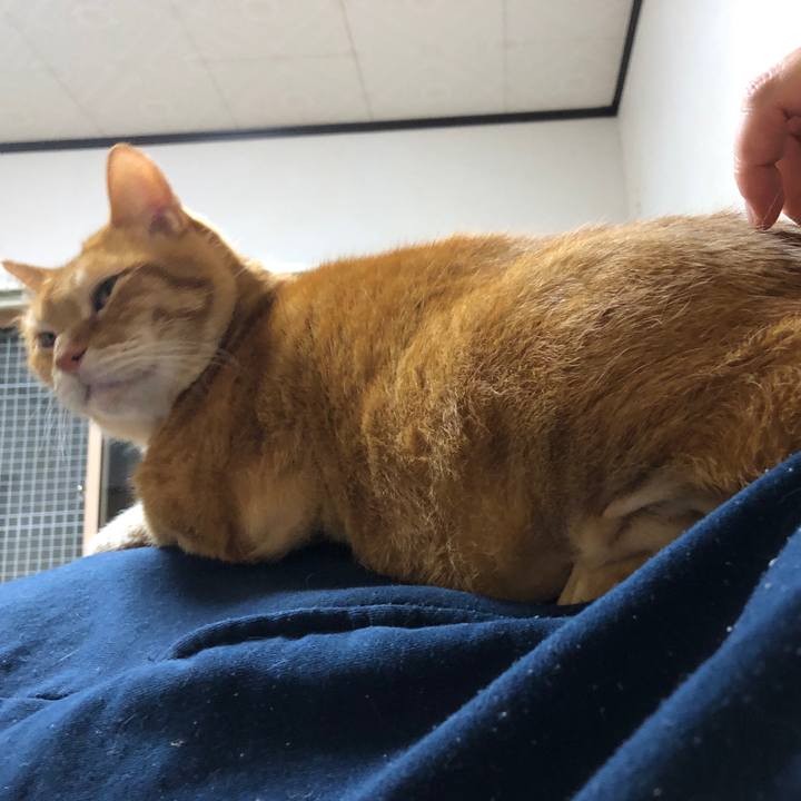 449a3cfd fae2 443f bb40 ec9854b8bdd8 1711725103353