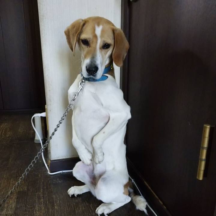 449a3dd9 5dd8 4c4a b808 3eda430afd1c 1616756259561