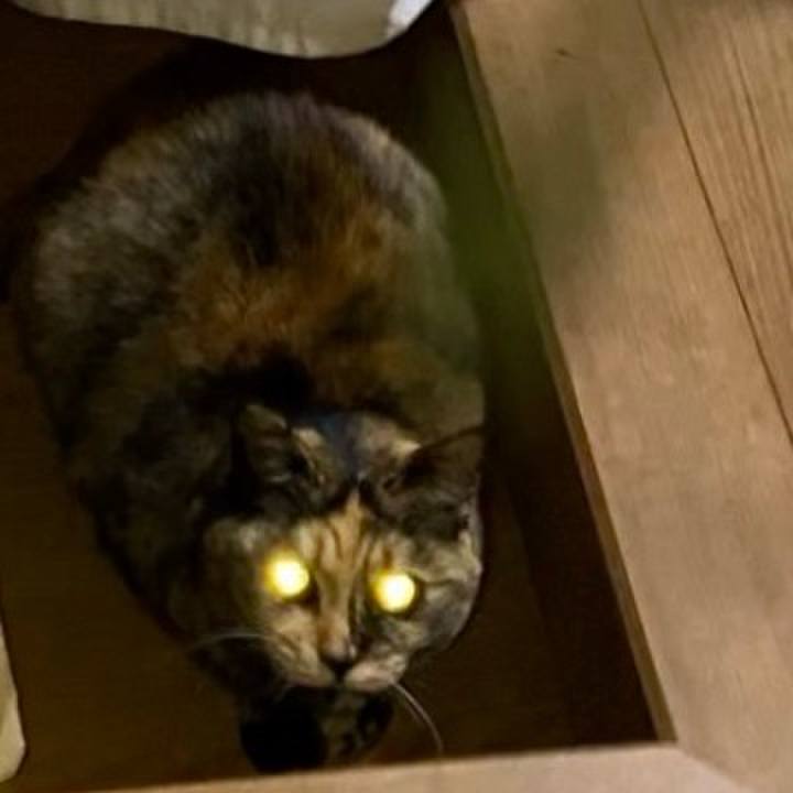 449a4ba6 4024 42b2 8972 c99b906048c2 1738011995510