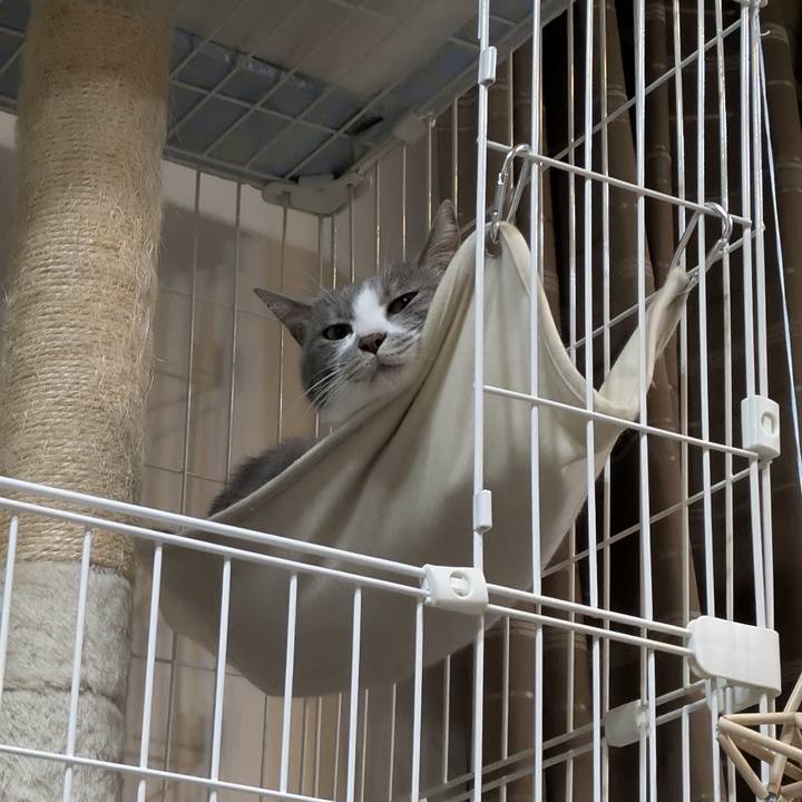 449a5f4e 04df 4d59 8ac2 922cccca3d39 1761557273626