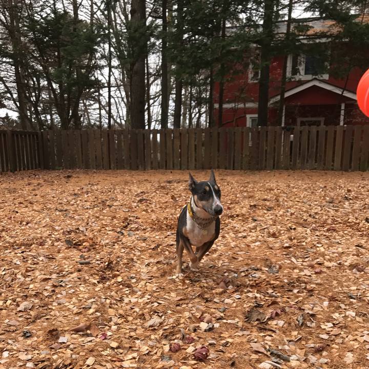 449a7b1e a546 470c 92c7 7c5610e1d86d 1510977957127