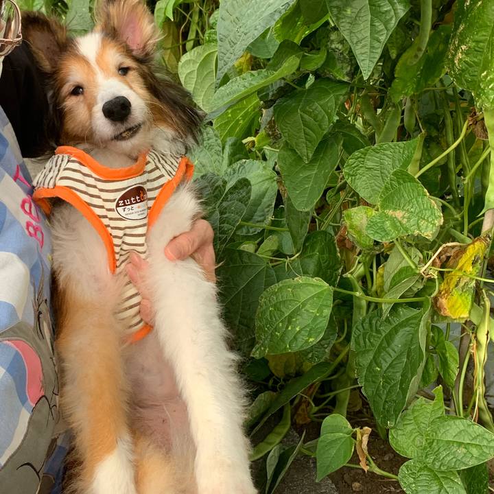 449a7d48 7929 4e16 ba1f d7b821c9d4ea 1662946511417