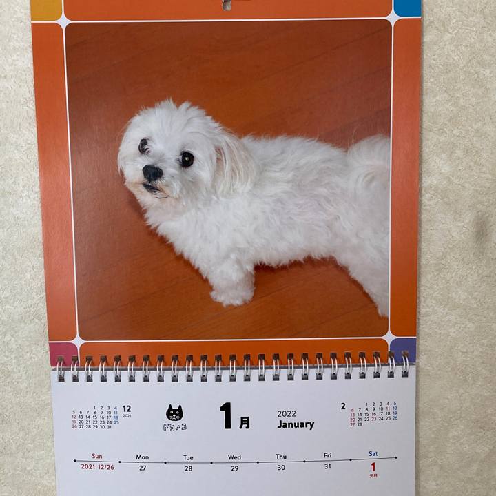 449ab21c ad38 4f3c 918e 6e1eb5255008 1642424614542