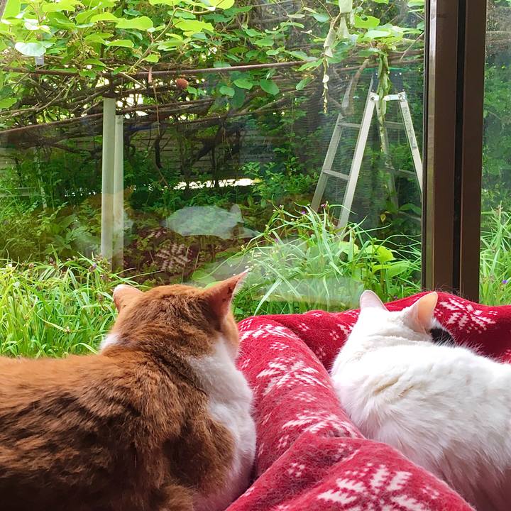 449addb4 6f44 4cc9 b2c8 e5274c672607 1590532428691