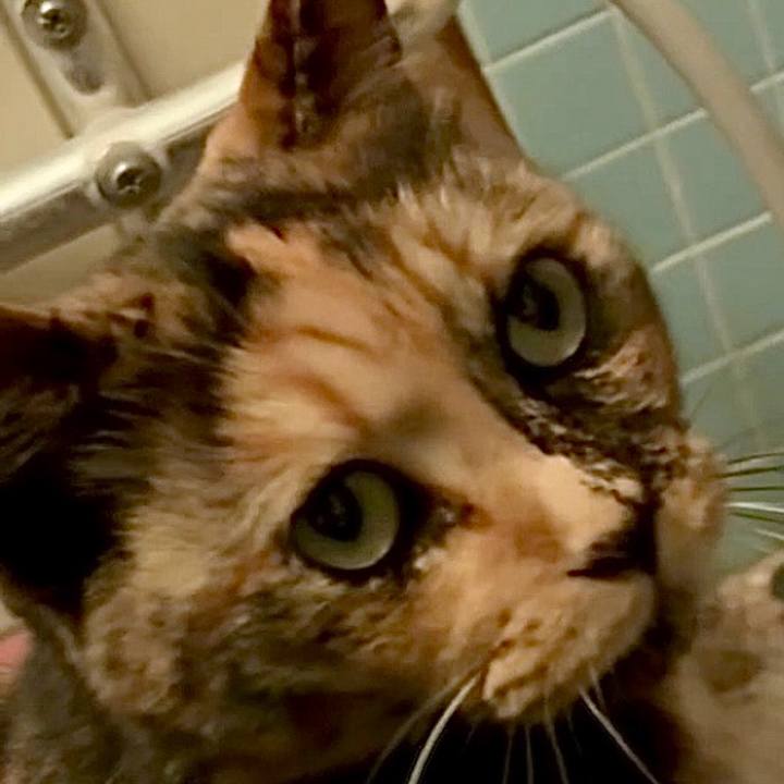 449aed3a 9c3a 462b 98cd 2e394ac4484c 1751924383586