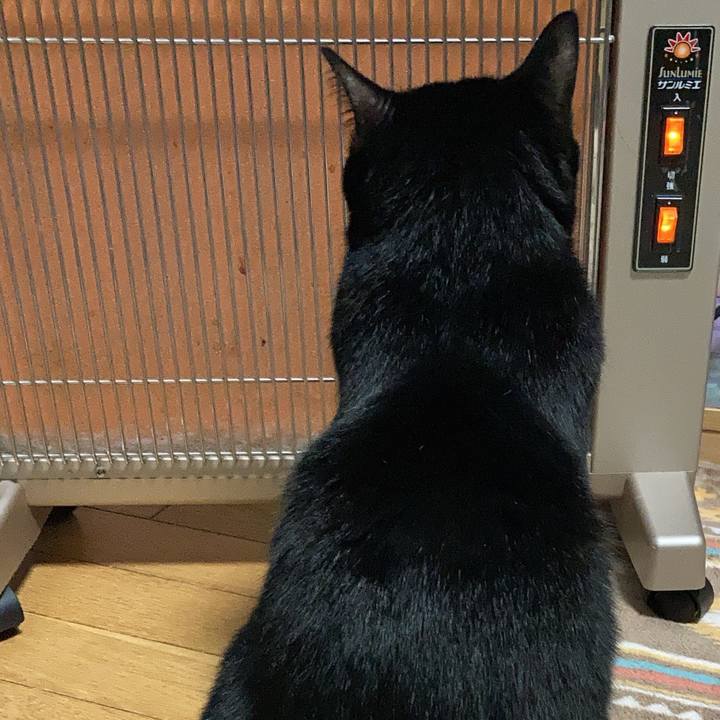 449af360 0018 40ac a57d 6a93238b0196 1728559203657