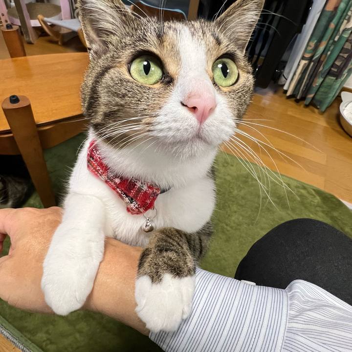 449afe2a 49d0 4f66 9d22 2561fe365337 1735395915198