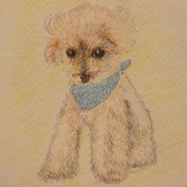 449b0525 bd0a 403b 8c04 e9aee7fb457e 1649943094494