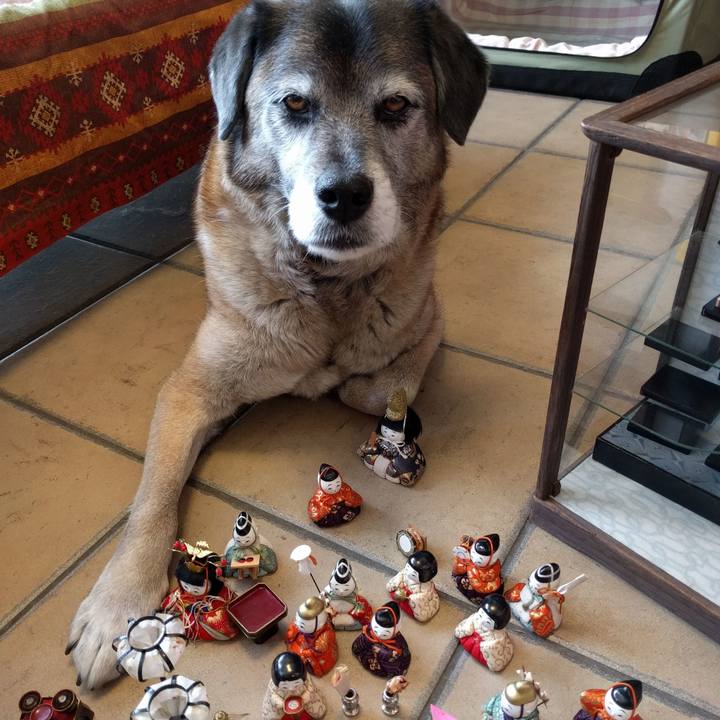 449b07cb a77e 47af bda1 871191586a5e 1520044238697