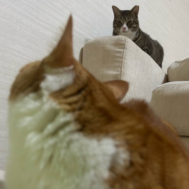 449b1746 9e62 4332 a6f8 b38d66d1d935 1760530350829