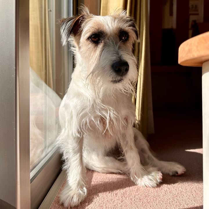 449b81d6 f502 4d38 bfc2 540ec97c6dcf 1704380774496