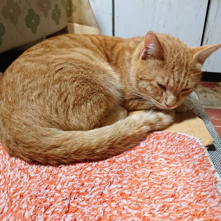 449bcd8e f048 434e a942 99b98ec3ab34 1568288606043