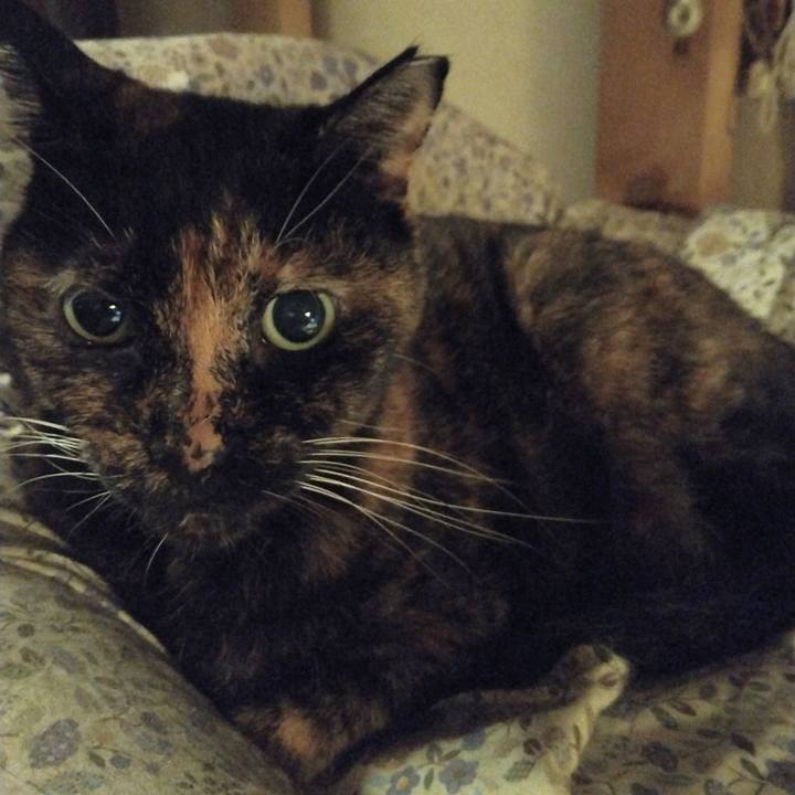 449c17d5 914b 479b b103 4e5071d0bf8f 1666094054302