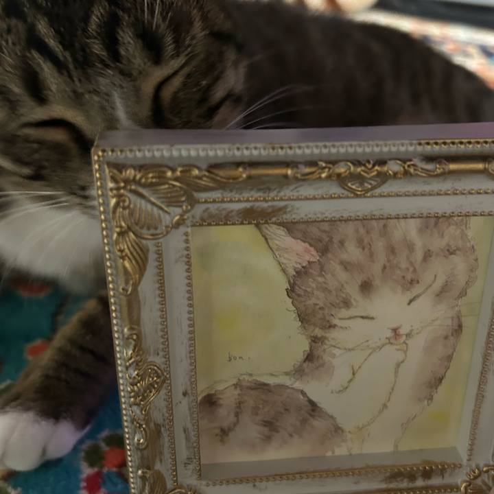 449c369c 7bff 4e77 b621 b5704e9d4cd8 1758625846825