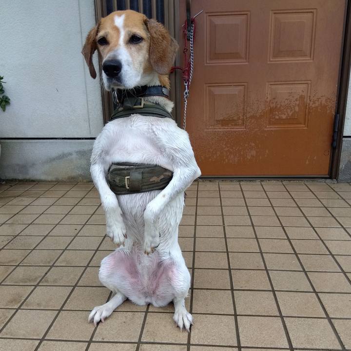 449c7a96 edf8 48ff 8854 4a43c1c98874 1687321698952