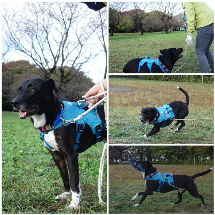 449c960f 5172 4fe4 a89f c623e4638c7c 1636505434776