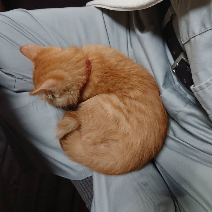 449d08c6 d22a 45d9 bcf1 fee5329ed7be 1631569503016