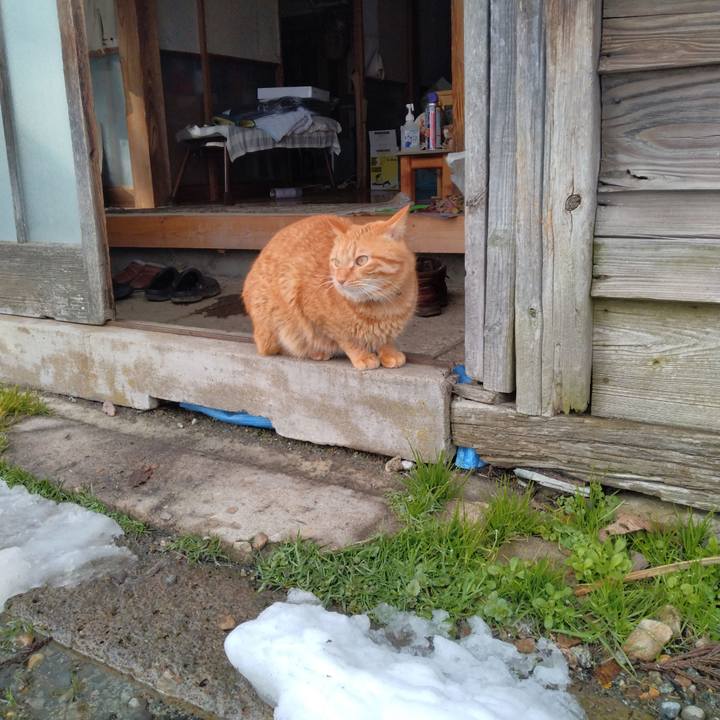 449d3dd1 2780 4518 98a8 2fe668f089ca 1704778411217