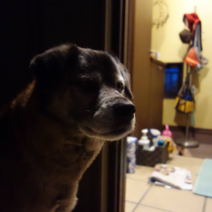 449d6448 ffe9 49a8 ad02 1004f710933f 1554375152044