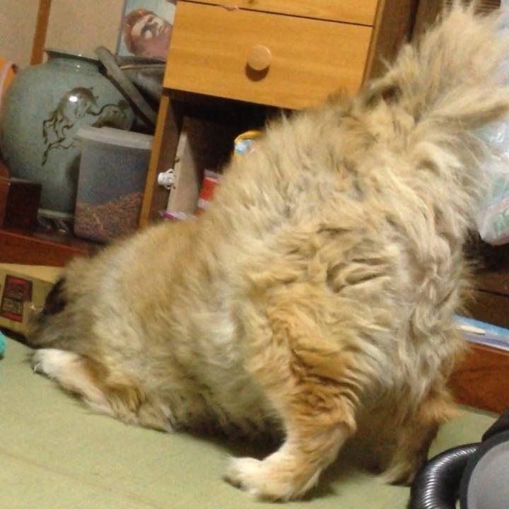 449d7750 06eb 4ff8 84a6 6d193458a77f 1602942730694