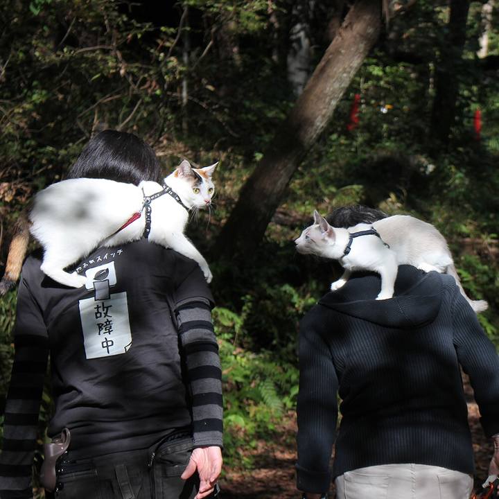 449d9520 e834 4b79 93c1 57f9c73827bd 1604830293670