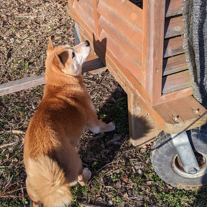 449e0880 a8ef 40bc 9baa 1e7442ac7f9a 1709289355063