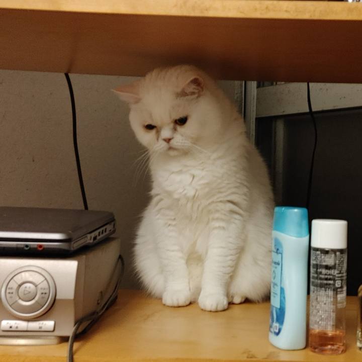 449e1452 8607 432a b866 3db1ea28e68b 1624114415668