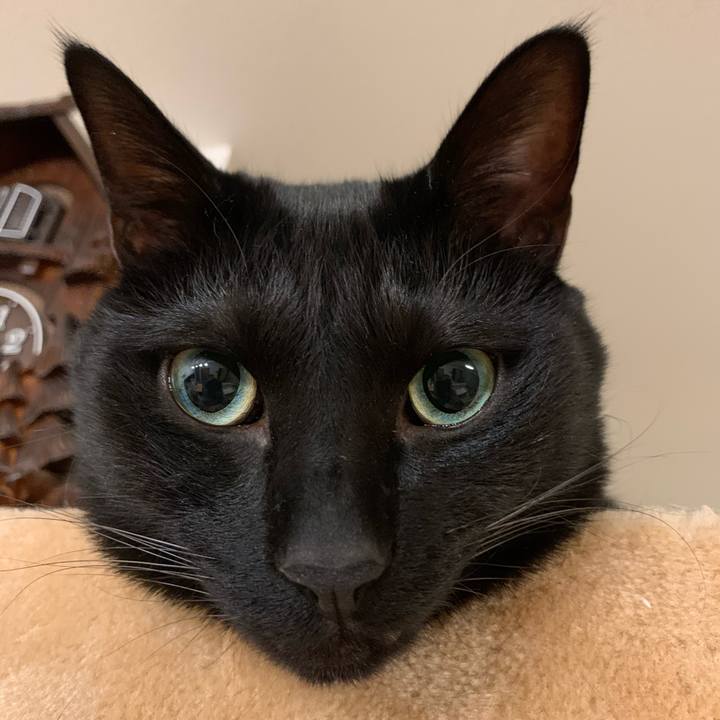 449e1932 256d 402b 9561 769a919a79f2 1612884866570