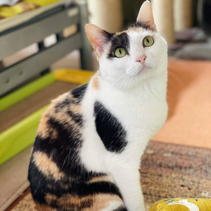 449e2b3f f459 44a2 86c5 3bfaca0f79d0 1621478623155