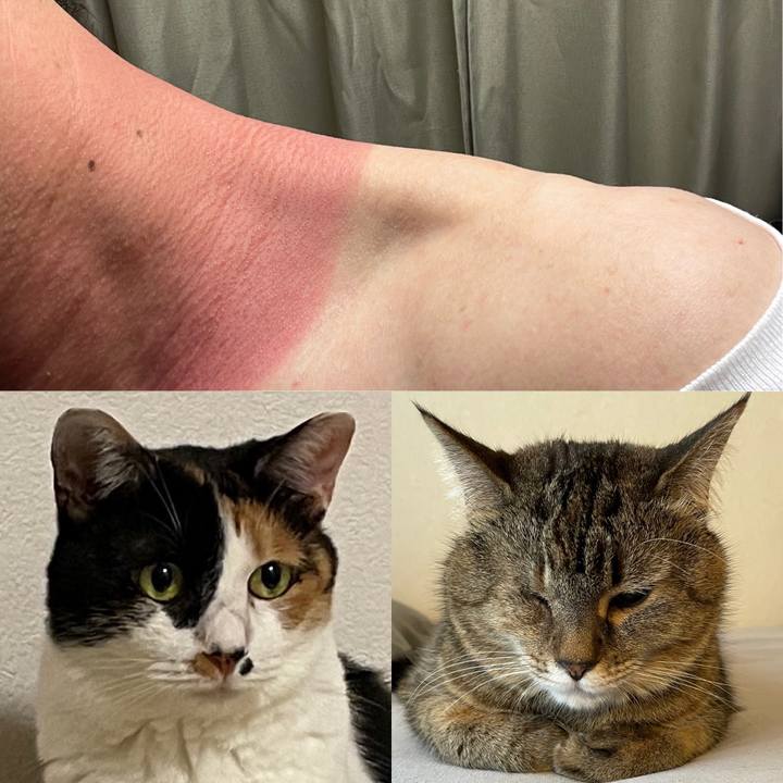 449e3450 887f 41ff a603 43e37748eb86 1627214969110