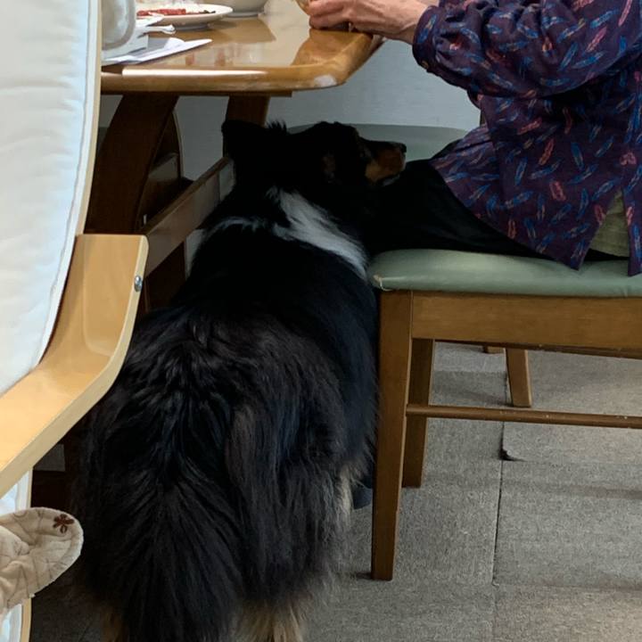 449e4abf 6209 411a bdc1 45ea9b319581 1590098457403