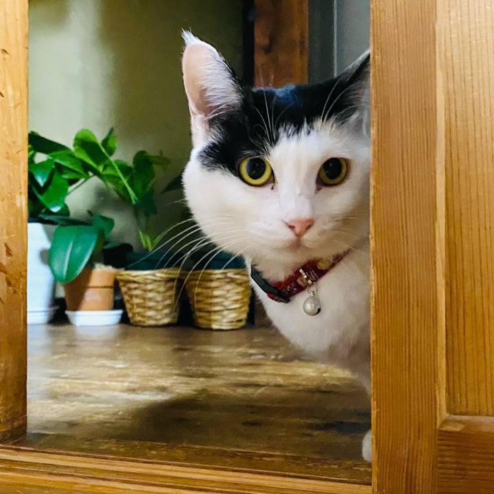 449e5838 925e 4792 aae6 241e33c0c45f 1668632927273