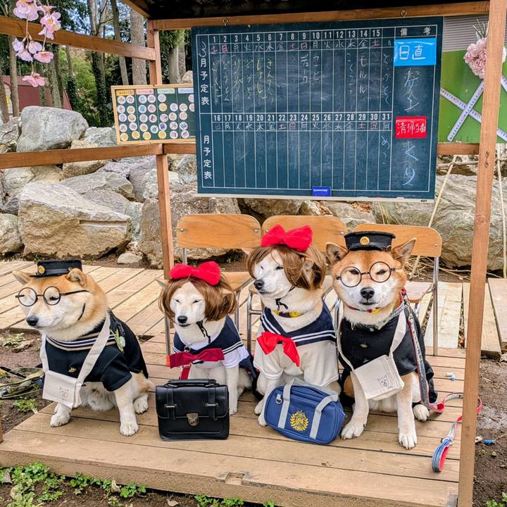 449e9ca9 abca 494b 829e f5179d5b8ad6 1742454493018