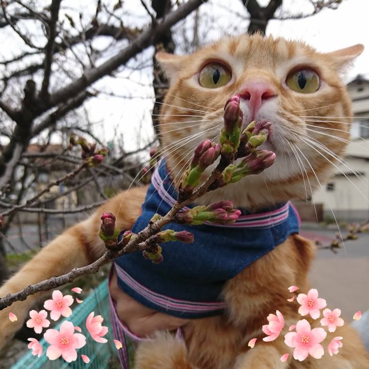 449ec2dd 56b4 46df a824 2c43616106ce 1584268996359