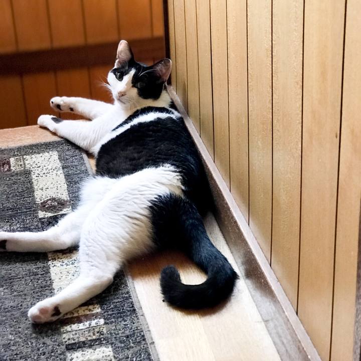 449edd8f ec9c 4053 8f6e 188b5716843c 1533515179769