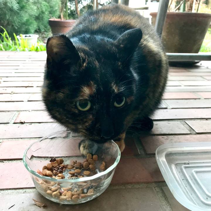 449ee067 1b27 4211 ac54 1e44c0485e90 1516167744865