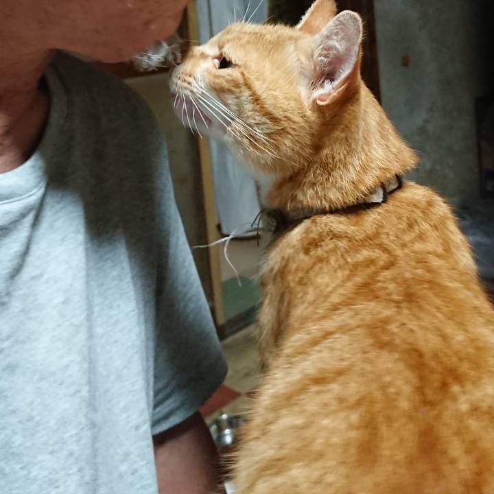 449f3f0a b620 4e9b 90ac a7abfc6ba1ca 1596314900336